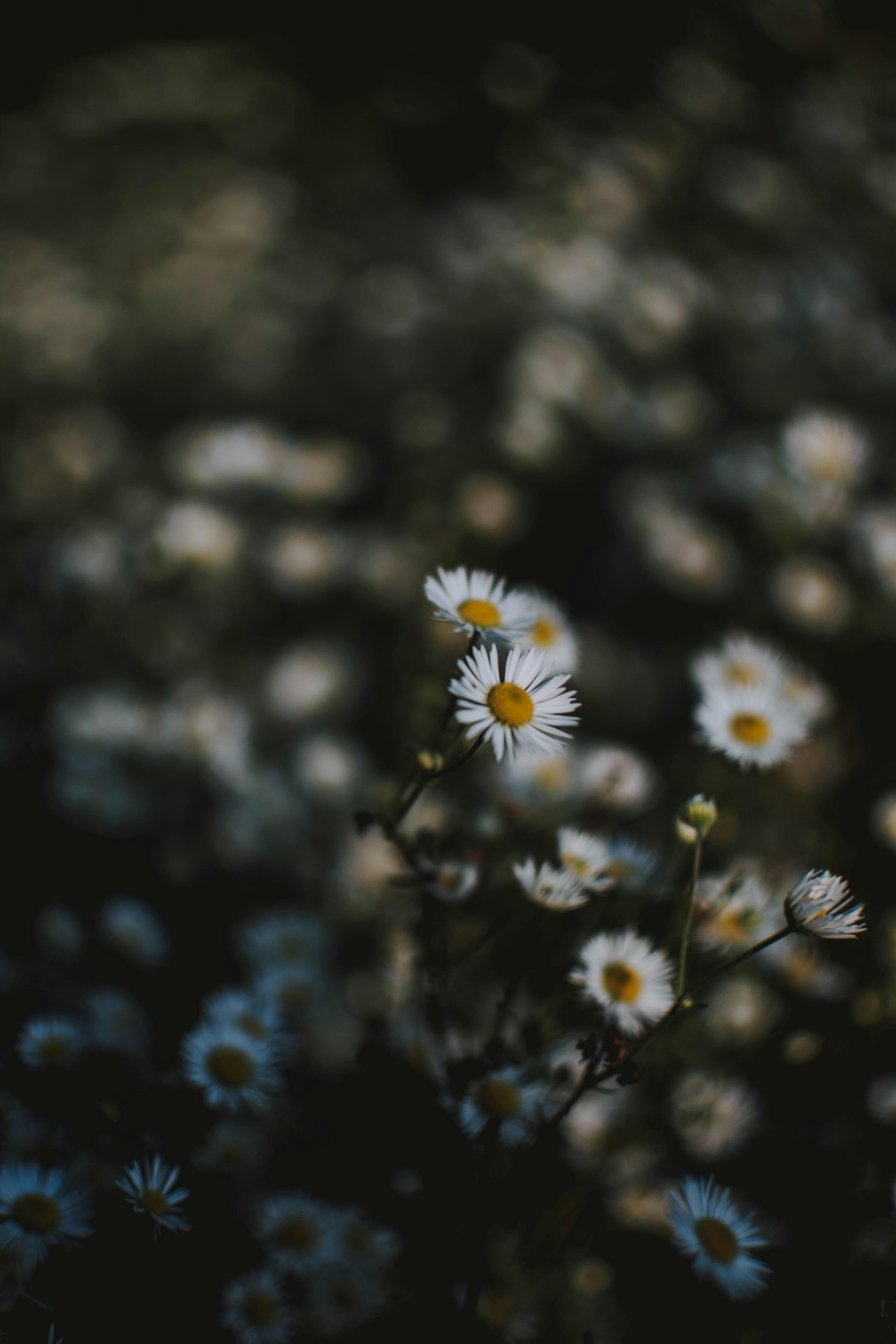 video random max letter test video random video random max letter test video random max letter test 